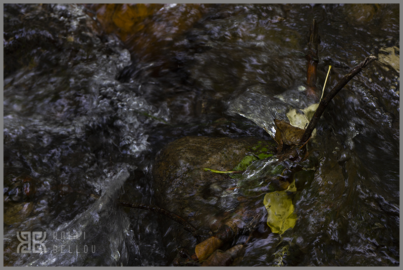 � Kalli Bellou / www.kallibellou.com